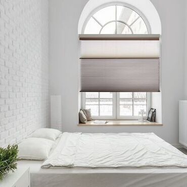 Window Shutters